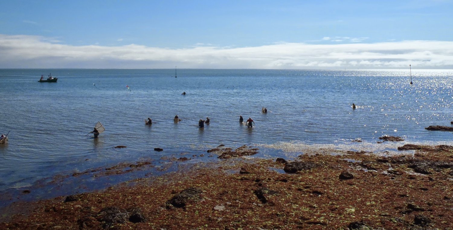 plage-saint-jacques1.jpg