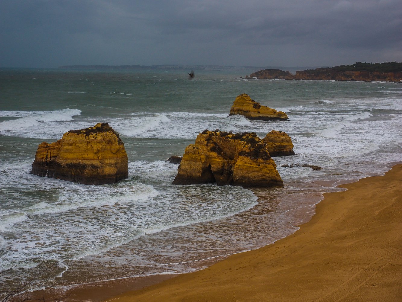 Praia da Rocha-7.jpg