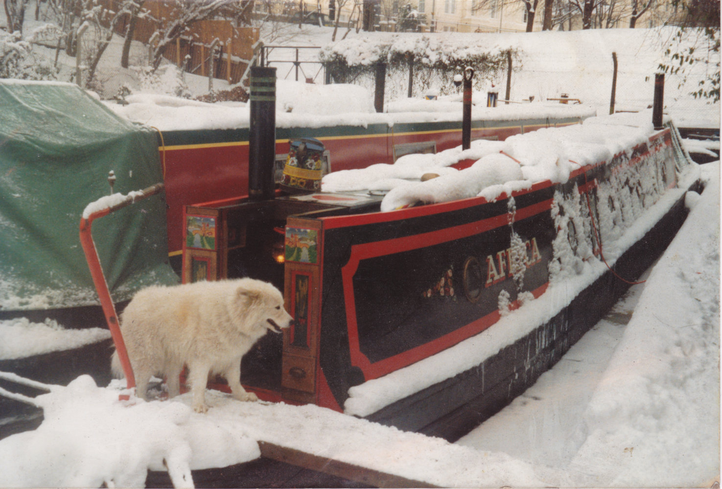 Sam in snowy afrca_0001.jpg