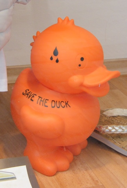 save the duck.JPG