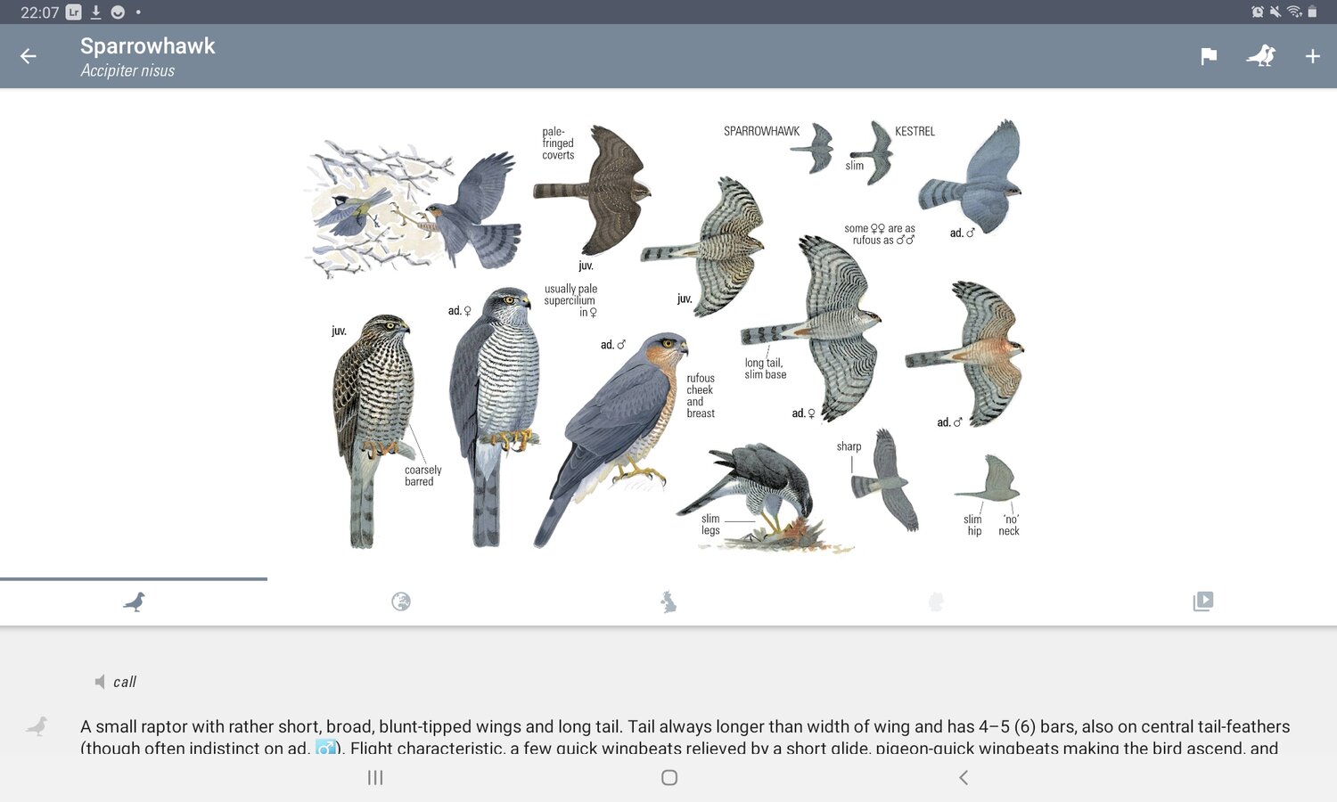 Screenshot_20201207-220744_Bird Guide.jpg