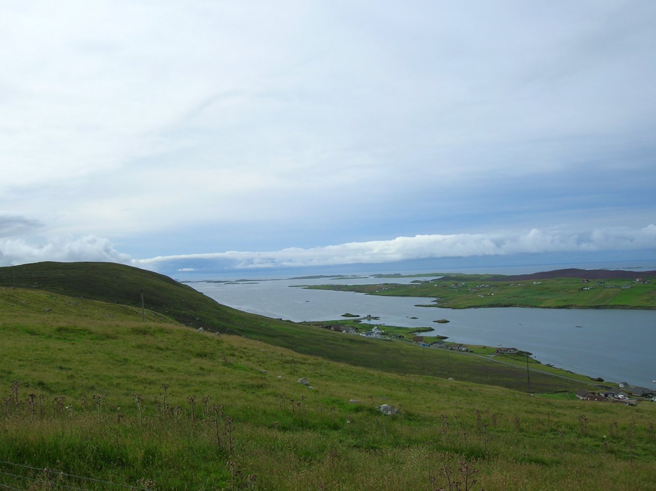 Shetlands Summer 06 035.jpg