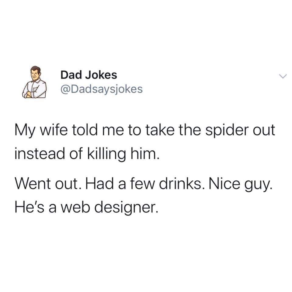 spider.jpg