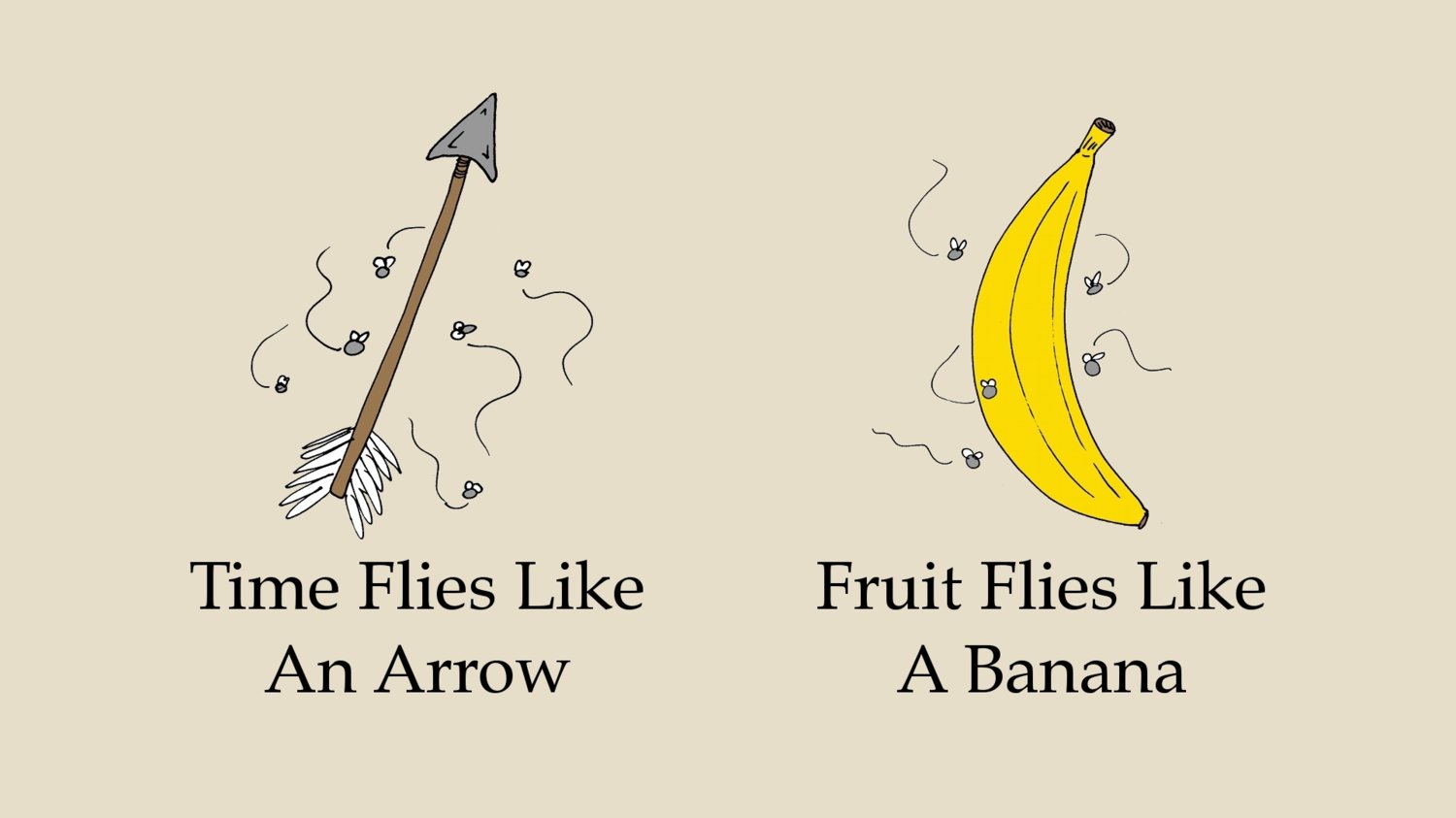 time-flies-like-an-arrow-fruit-flies-like-a-banana5.jpg