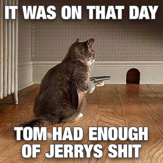 Tom Jerry.jpg