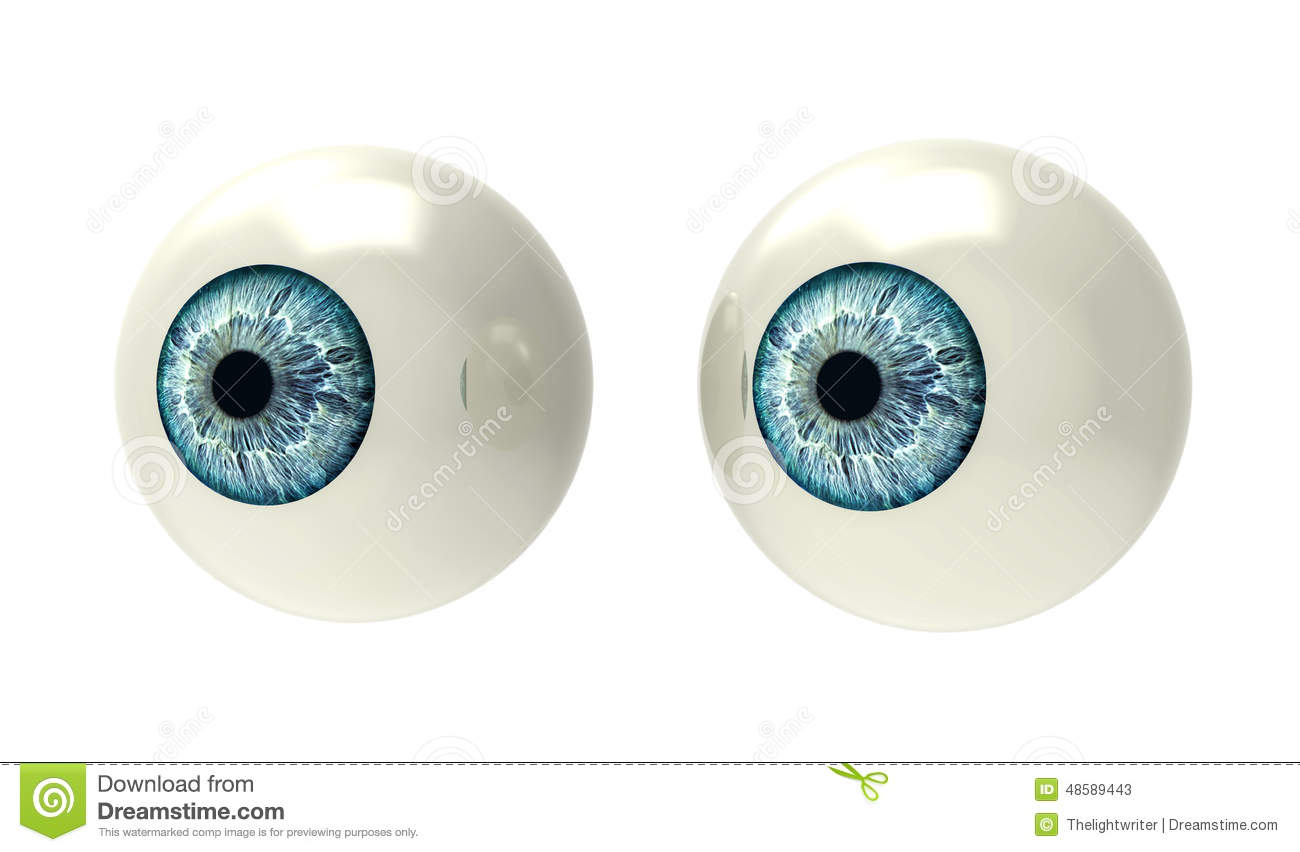 two-eyeballs-white-d-render-48589443.jpg