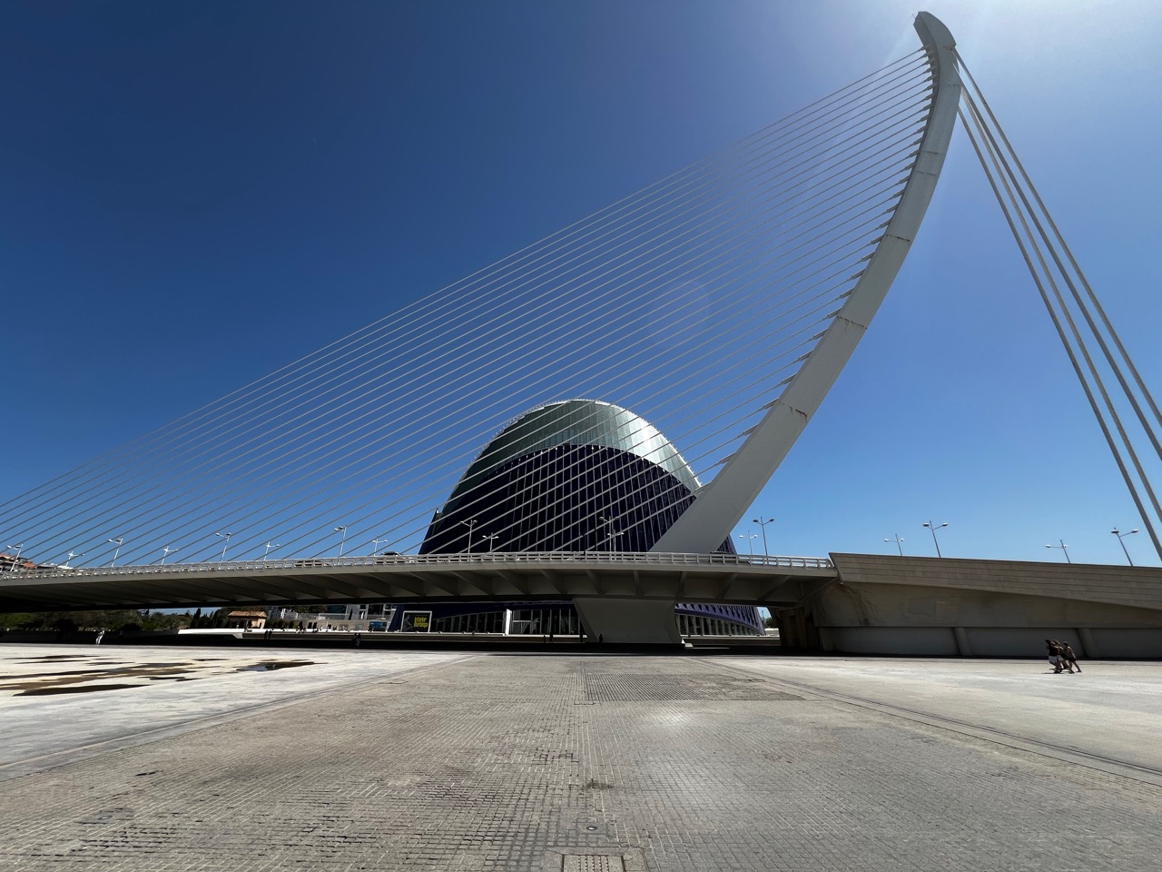Valencia Modern Art Science & Exhibition Park - 17.jpg