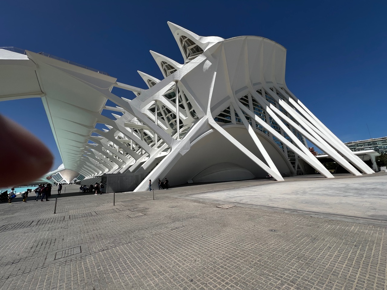 Valencia Modern Art Science & Exhibition Park - 19.jpg