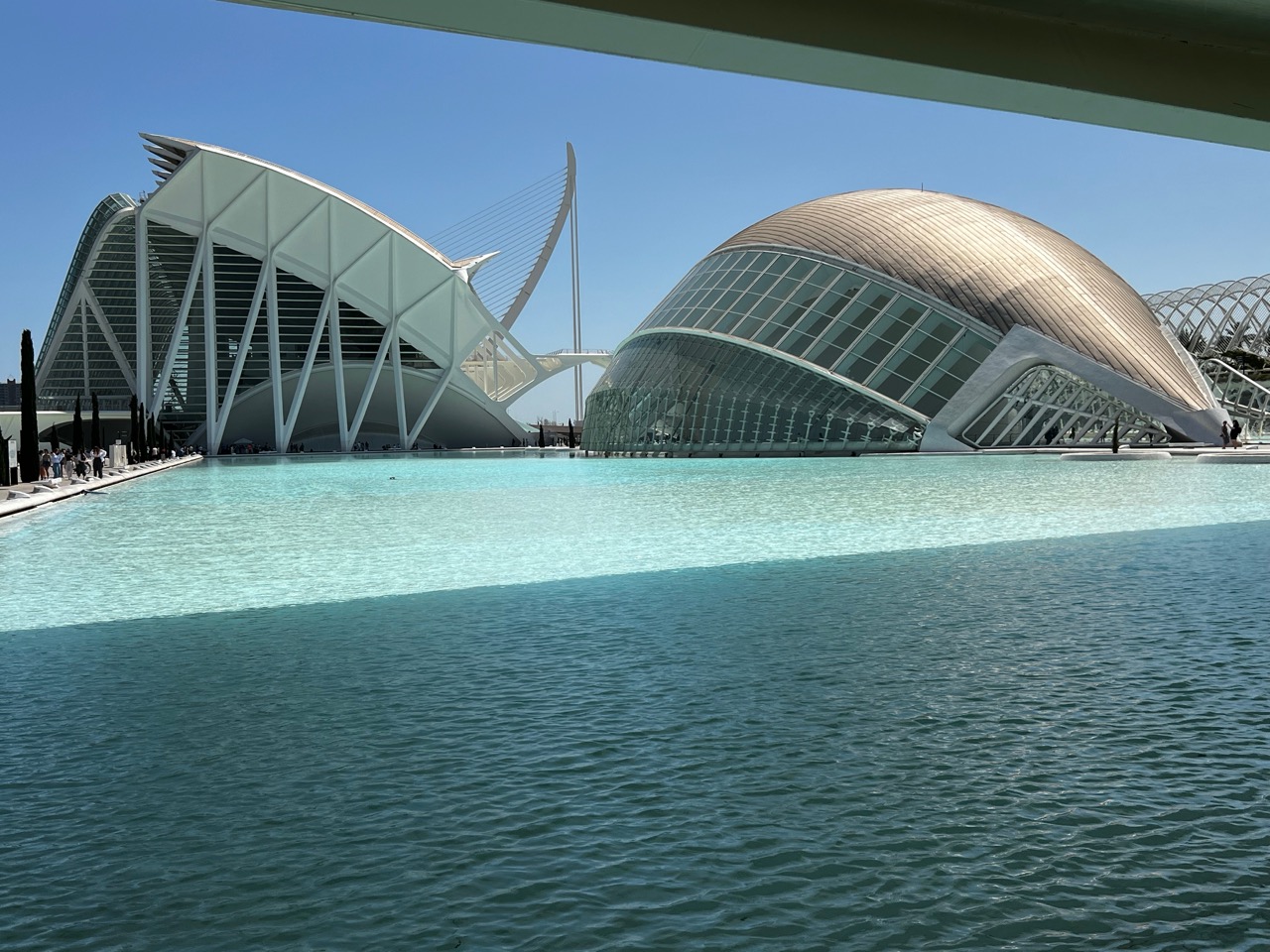 Valencia Modern Art Science & Exhibition Park - 8.jpg