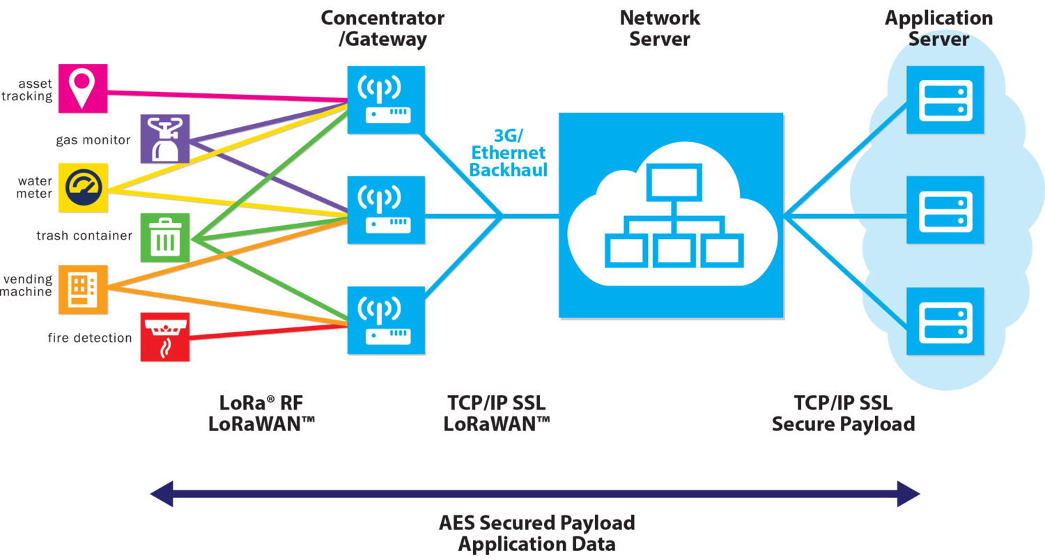 what-network_diagram.png