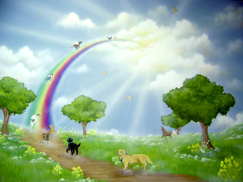 zy8ee-rainbowbridge.jpg