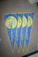 pennants (Medium).jpg