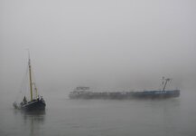 Mist at Loreley [1024x768].jpg