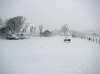 snowy06.jpg