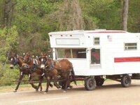 Horse-drawn-RV.jpg