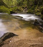 Golitha Falls Cornwall 1.jpg