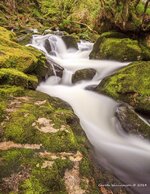 Golitha Falls Cornwall 2.jpg