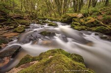 Golitha Falls Cornwall 3.jpg