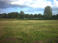 rally field 022.JPG