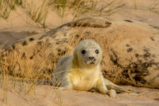 Winterton .  8-12-2018 (405 of 440).JPG