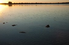 Lac du Der Sunset.jpg