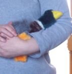 duck in arms.JPG