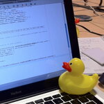 computer duck.jpg