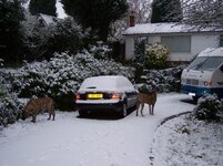 Scotland and Snow 27-01-2007 020.jpg