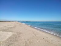 Platja del sayer (Valencia)