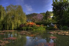 Giverny [800x600] copy.jpg