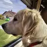 Hooch-Lynn