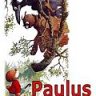 paulus the woodgnome
