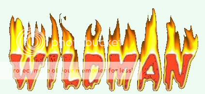 Wildmanfirelogo4-1.jpg