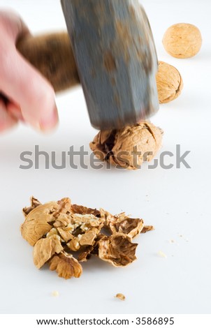 stock-photo-cracking-walnuts-with-a-sledgehammer-3586895.jpg