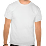 alternative_welsh_flag_t_shirt-rb23a556b4e3945d0beba15bbe7e589a0_804gs_152.jpg