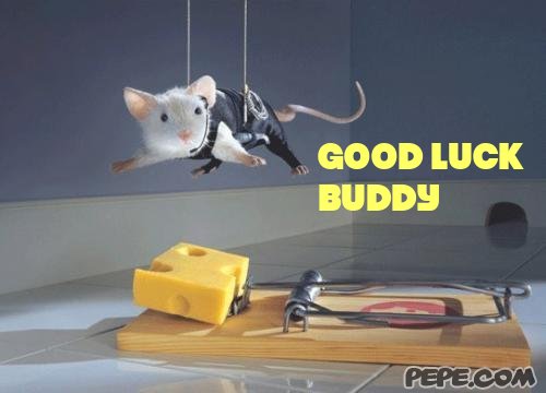 good_luck_buddy_0.jpg