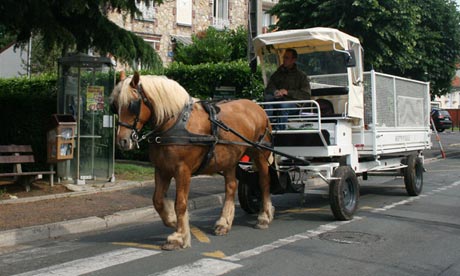 horse-and-cart-recycling-005.jpg