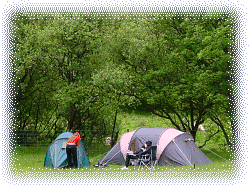 camping-DSC00409-250.gif