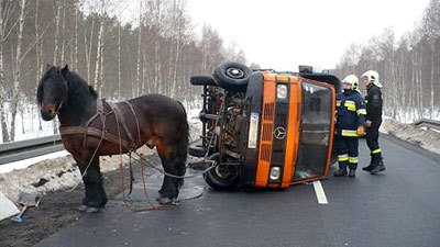 horse-van-wreck.jpg