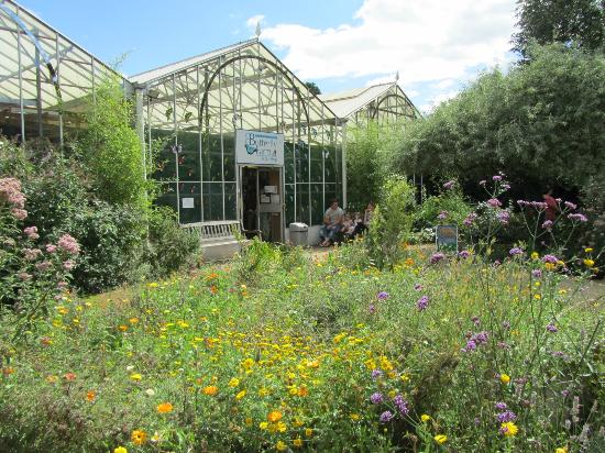 stratford-butterfly-farm.jpg