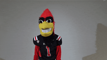 Oh No Omg GIF by Ball State University