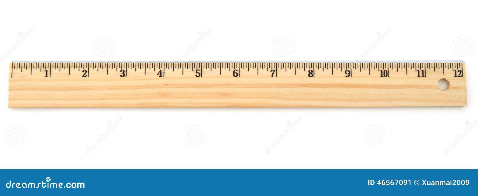 inch-ruler-standard-lifetime-46567091.jpg