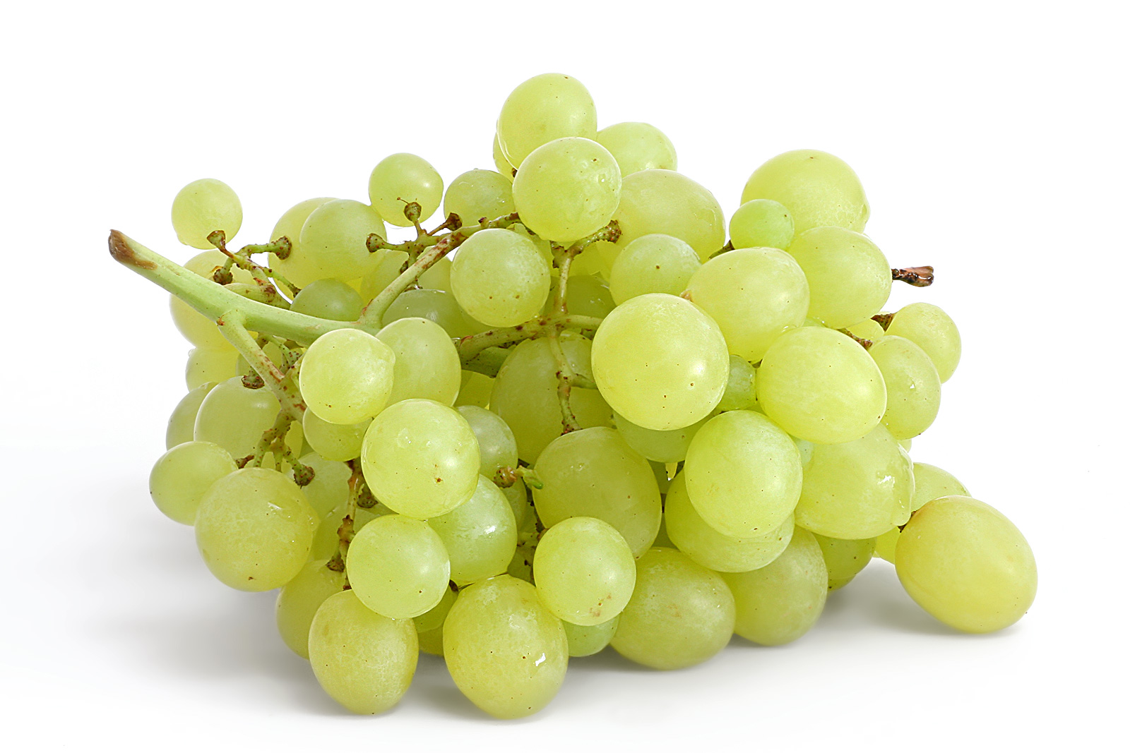 Table_grapes_on_white.jpg