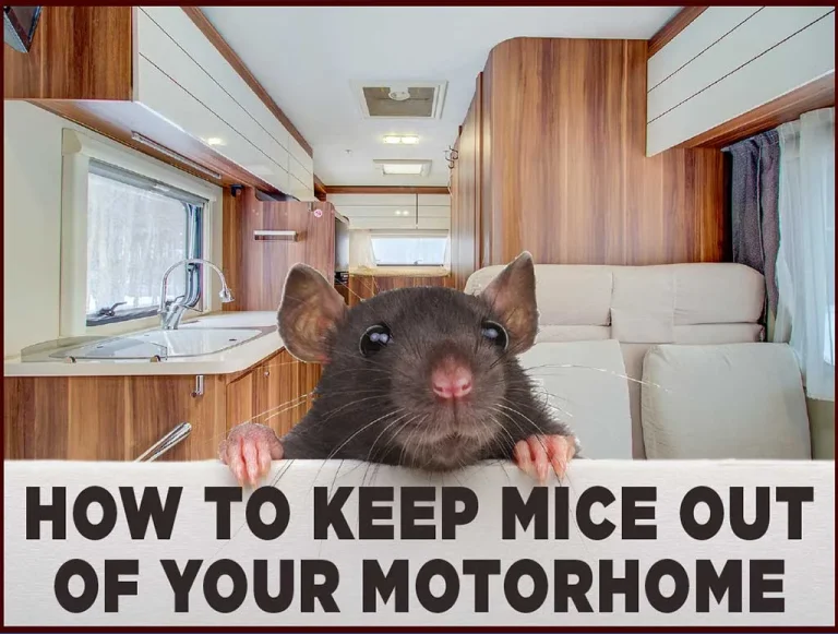 How to Keep Mice out of Your Motorhome