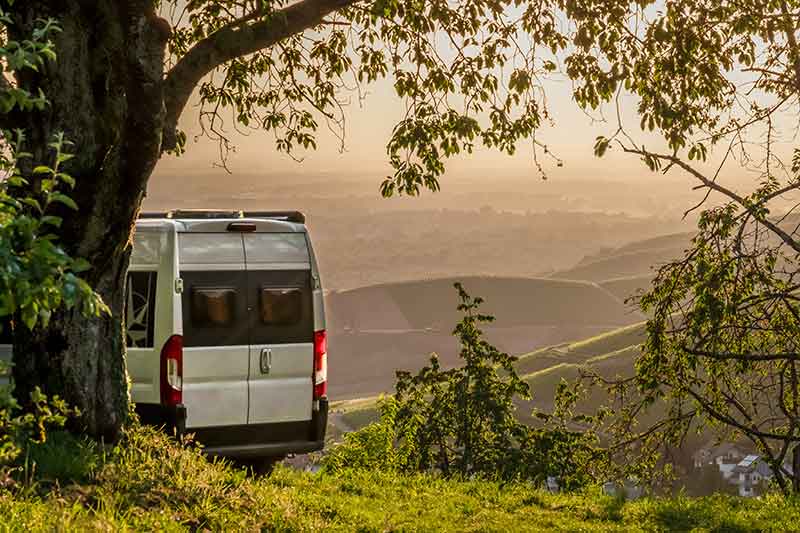 Motorhome In Vineyard